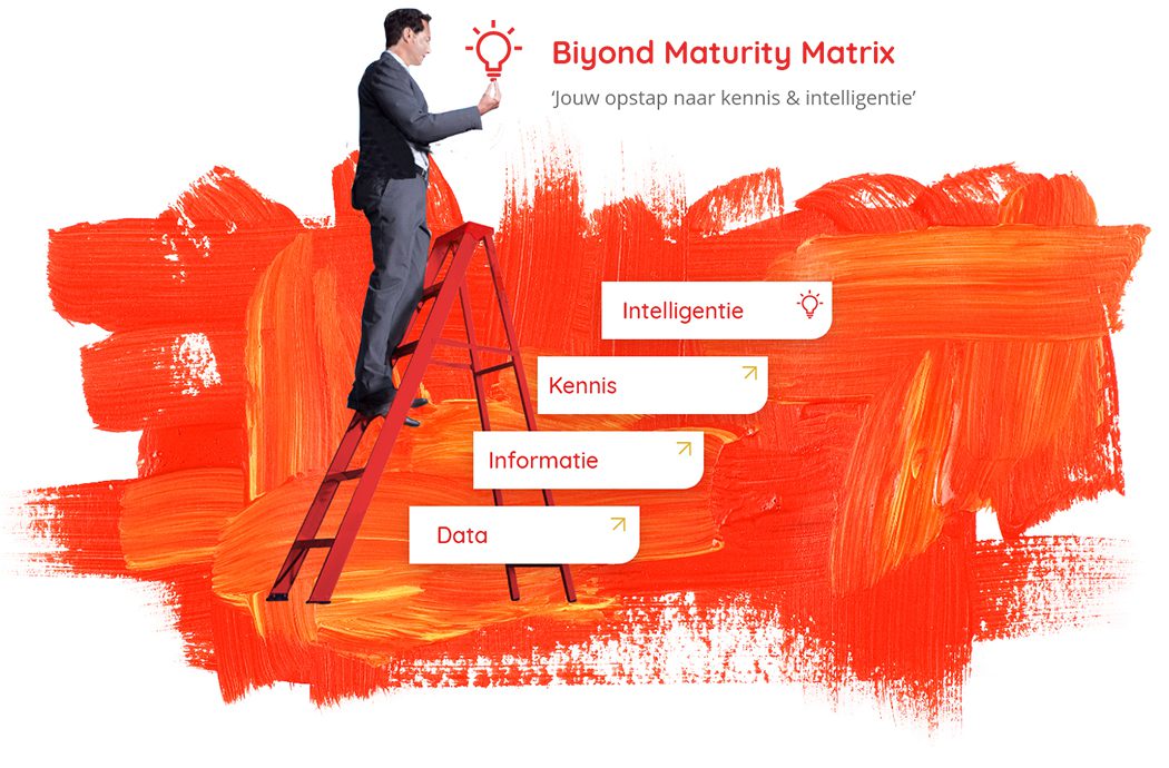 maturity ladder business intelligence
